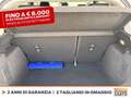 Ford Fiesta active 1.0 ecoboost h x 125cv Bianco - thumbnail 12
