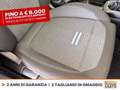 Ford Fiesta active 1.0 ecoboost h x 125cv Bianco - thumbnail 9