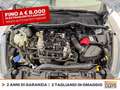 Ford Fiesta active 1.0 ecoboost h x 125cv Bianco - thumbnail 13