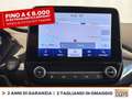 Ford Fiesta active 1.0 ecoboost h x 125cv Bianco - thumbnail 24