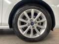 Ford Fiesta Fiesta 5p 1.1 Titanium 85cv my19 Bianco - thumbnail 7
