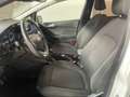 Ford Fiesta Fiesta 5p 1.1 Titanium 85cv my19 Bianco - thumbnail 12