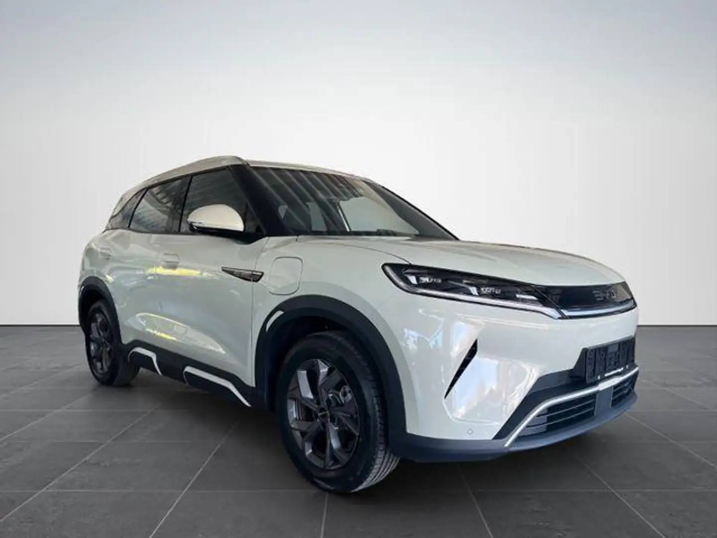 BYD Atto 2 Boost /PANO-DA/ACC/LEDER/360°/SHZ/ 130 kW (177 ... Grün - 2