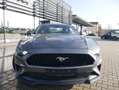 Ford Mustang GT Fastback 5.0 Navigation SYNC III Performance Grau - thumbnail 3
