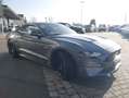 Ford Mustang GT Fastback 5.0 Navigation SYNC III Performance Grau - thumbnail 10