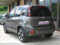 Fiat Panda 1.0 FireFly S&S Hybrid *PER NEOPATENTATI* Grau - thumbnail 9