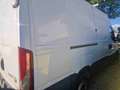 Iveco Daily 35S14 Weiß - thumbnail 3