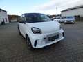 smart forFour EQ Passion Exclusive  22 kw Schnelllader Winter... Alb - thumbnail 8