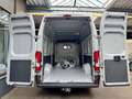 Fiat Ducato 2.2 D L5H3 MAXI AHK KLIMA CAM 3SITZE 3,5t Weiß - thumbnail 8