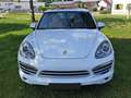 Porsche Cayenne Cayenne Diesel Tiptronic S Weiß - thumbnail 2