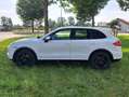 Porsche Cayenne Cayenne Diesel Tiptronic S Weiß - thumbnail 7