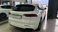Maserati Grecale 2.0 mhev GT 300cv UFF ITALIA Weiß - thumbnail 11