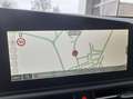 Kia e-Niro Inspiration EV WP DriveWise-/Technik-/Rel Weiß - thumbnail 12