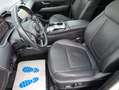 Hyundai TUCSON Prime Mild-Hybrid 4WD Panorama Voll Weiß - thumbnail 14