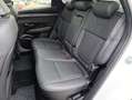 Hyundai TUCSON Prime Mild-Hybrid 4WD Panorama Voll Weiß - thumbnail 22