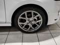 Ford Fiesta ST-Line 125PS Navi Parking Komfort Sicht Styling White - thumbnail 3