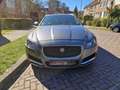 Jaguar XF XF+Sportbrake+2.0+D+AWD+Prestige+(EU6.2) Gris - thumbnail 1