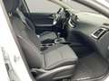 Kia Ceed / cee'd Ceed 1.5 T-GDI Vision Navi+SHZ+2xKlima+Kam.+LM Weiß - thumbnail 15