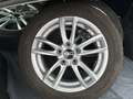 Kia Ceed / cee'd Ceed 1.5 T-GDI Vision Navi+SHZ+2xKlima+Kam.+LM Weiß - thumbnail 24