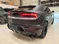 Lamborghini Urus URUS SE B&W 3D CARBON PANO DVD MATT Schwarz - thumbnail 45