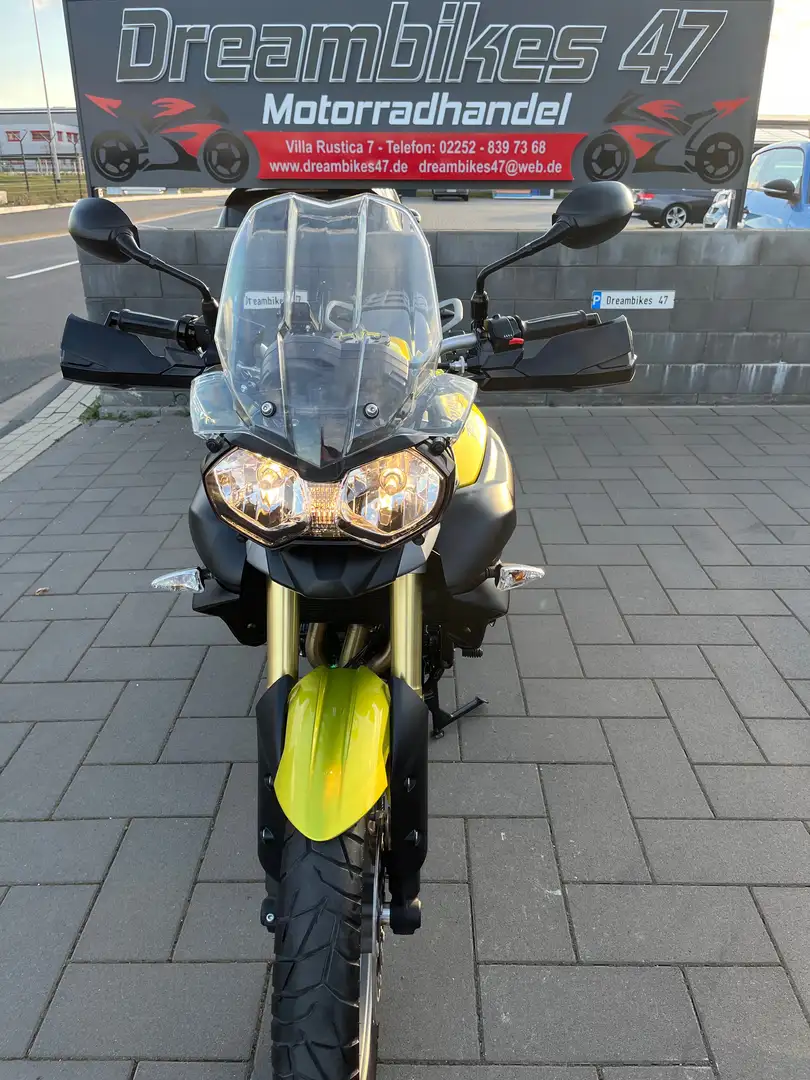Triumph Tiger 800 **1.HAND**NUR 3800KM**WIE NEU**HAUPTSTÄNDER** Gold - 2