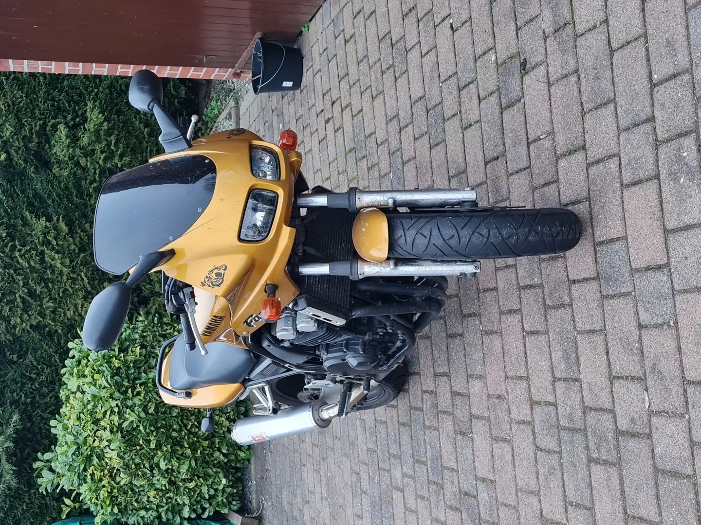 Yamaha FZS 600 Brąz - 2