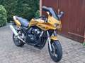 Yamaha FZS 600 Brąz - thumbnail 1