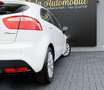 Kia Rio Edition 7 1.4 TEMPOMAT KLIMA PARKASISSTENT Weiß - thumbnail 6