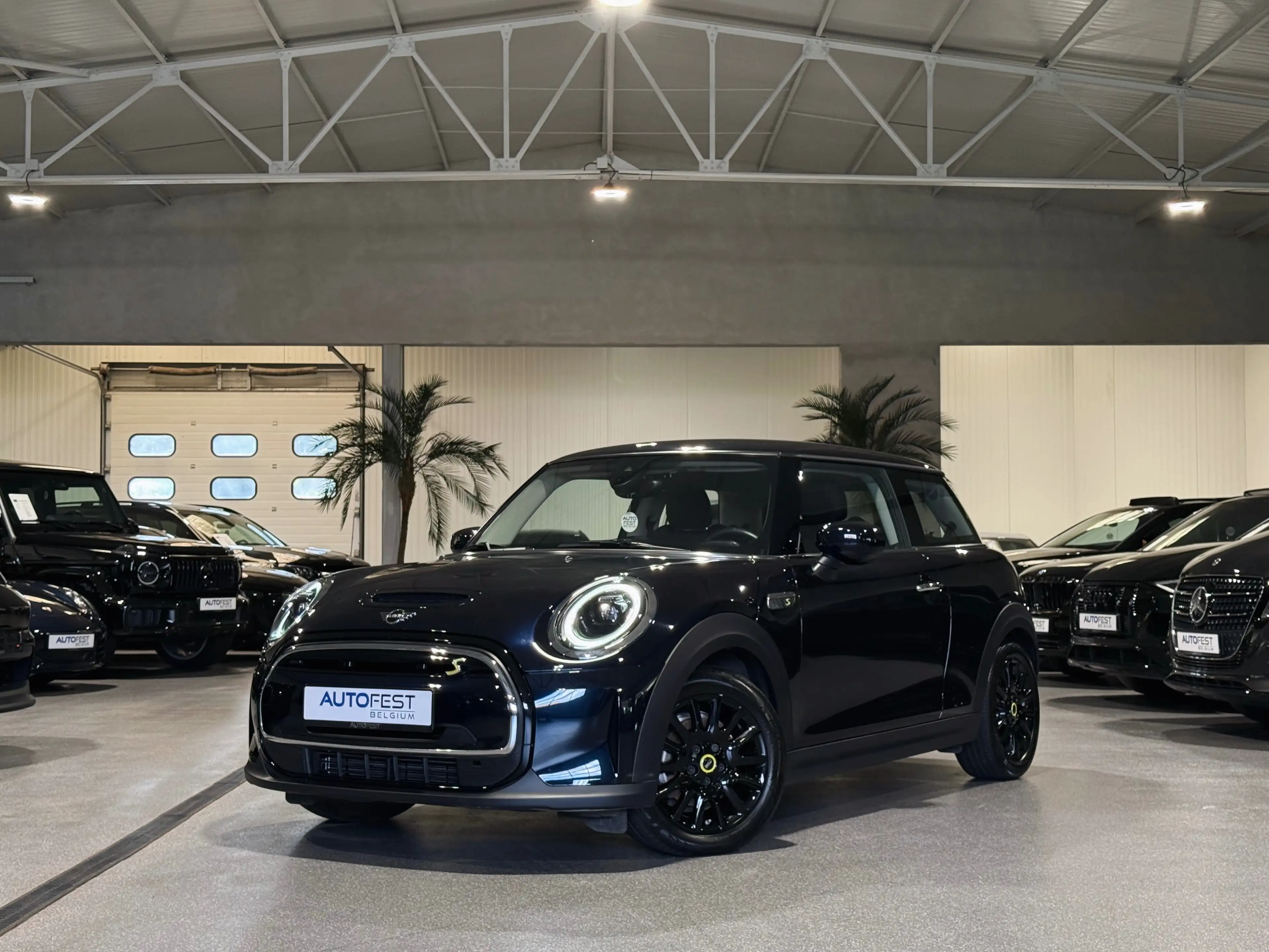 MINI Cooper SE Electric - Garantie