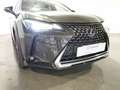 Lexus UX 250h 2.0 Executive 2wd cvt Groen - thumbnail 25