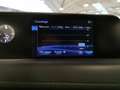 Lexus UX 250h 2.0 Executive 2wd cvt Zielony - thumbnail 16