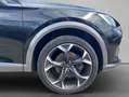 CUPRA Formentor 2.0 TDI 4Drive DSG LED DAB RFK Virtual Schwarz - thumbnail 19