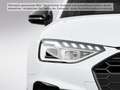 Audi A4 45 TFSI S line 19Z*LED*B&O*Virtual*360° Weiß - thumbnail 6