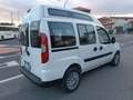 Fiat Doblo 1.9 mjt Family 120cv fap Pedana Disabili Bianco - thumbnail 4