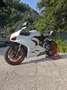 Ducati Panigale V2 Bianco - thumbnail 11