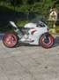 Ducati Panigale V2 Bianco - thumbnail 2
