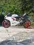 Ducati Panigale V2 Bianco - thumbnail 1