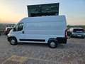 Peugeot Boxer 333 2.2 BlueHDi 140 S&S PM-TM Furgone White - thumbnail 19
