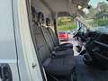 Peugeot Boxer 333 2.2 BlueHDi 140 S&S PM-TM Furgone White - thumbnail 3