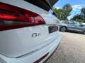 Audi Q5 2.0 TDI Clean Diesel 150 Ambiente / Distribution F Alb - thumbnail 9
