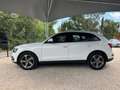 Audi Q5 2.0 TDI Clean Diesel 150 Ambiente / Distribution F Alb - thumbnail 4