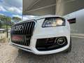 Audi Q5 2.0 TDI Clean Diesel 150 Ambiente / Distribution F Alb - thumbnail 11