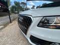 Audi Q5 2.0 TDI Clean Diesel 150 Ambiente / Distribution F Alb - thumbnail 10