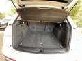 Audi Q5 2.0 TDI Clean Diesel 150 Ambiente / Distribution F Alb - thumbnail 12