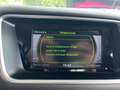 Audi Q5 2.0 TDI Clean Diesel 150 Ambiente / Distribution F Alb - thumbnail 46