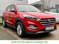 Hyundai TUCSON blue Trend 2WD*SHZ/RFK/PDC/Navi* Rouge - thumbnail 3