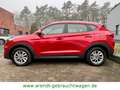 Hyundai TUCSON blue Trend 2WD*SHZ/RFK/PDC/Navi* Rouge - thumbnail 8