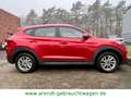 Hyundai TUCSON blue Trend 2WD*SHZ/RFK/PDC/Navi* Rouge - thumbnail 7