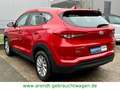 Hyundai TUCSON blue Trend 2WD*SHZ/RFK/PDC/Navi* Rouge - thumbnail 6