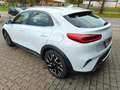 Kia XCeed Vision Komfort AUTOM. KAMERA SHZ LED NEU Weiß - thumbnail 3